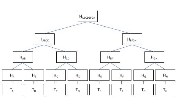  merkle works blockchain verification tree hashing ledger 