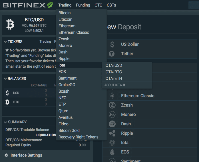 Bitfinex Trading Options