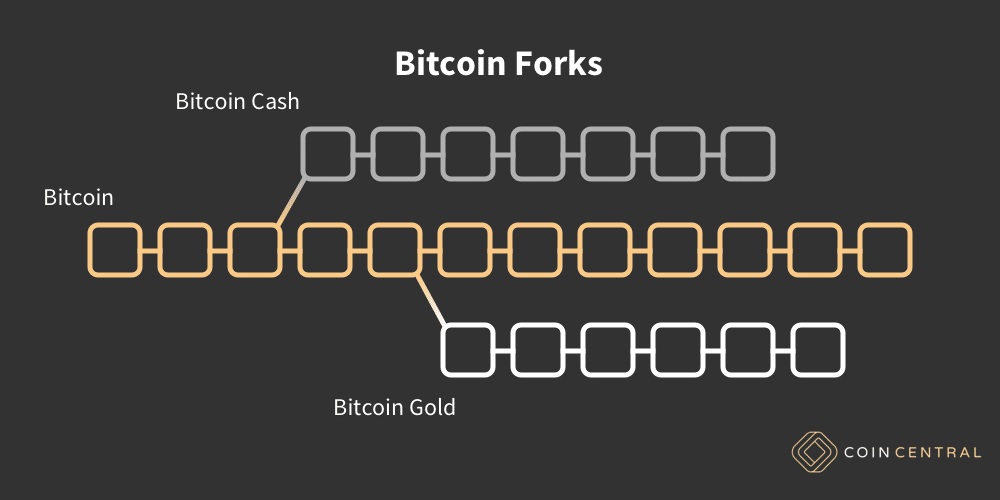forks bitcoin