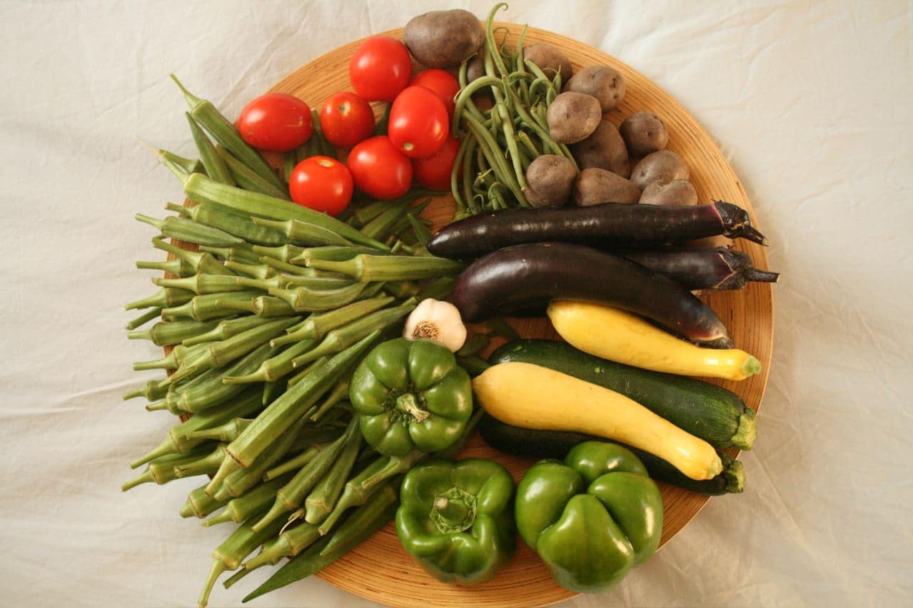 csa plate of vegetables