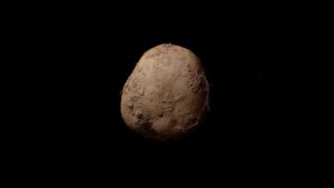 potato #345
