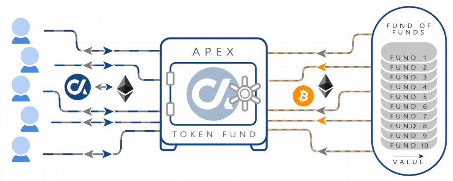 apex token fund structure