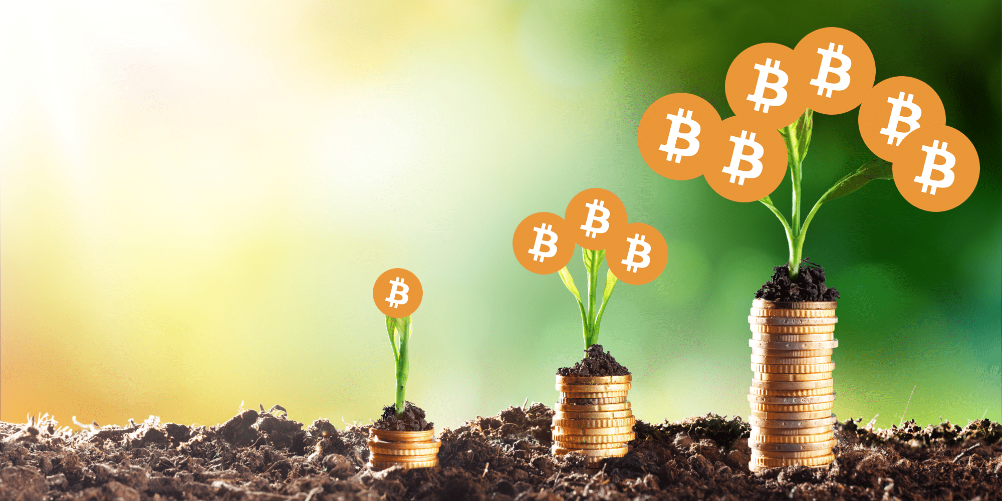 which crypto will grow