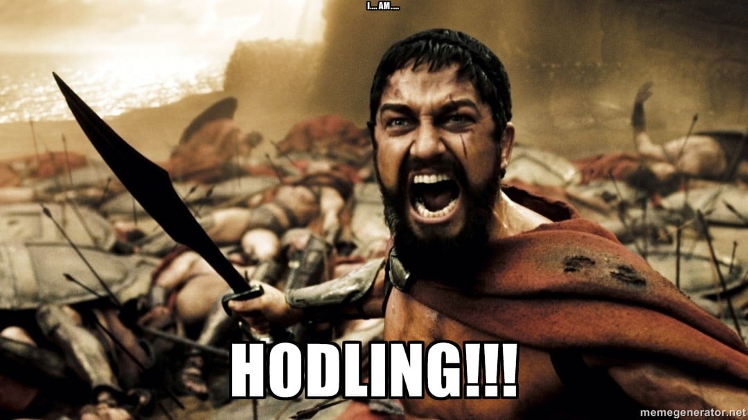 The first HODL meme, courtesy of Investopedia