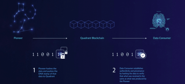 What Is the Quadrant Protocol (QUAD)? | Beginner's Guide