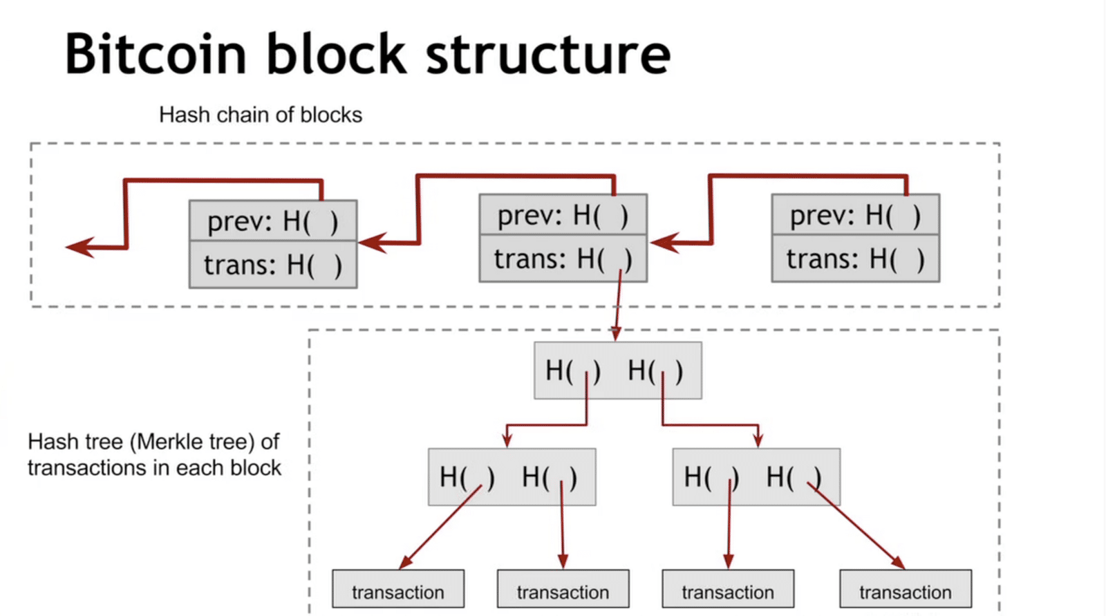 What Is A Merkle Tree? Hashing And How Blockchain Verification Works