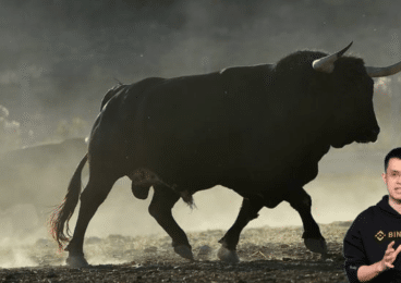 Binance bull run