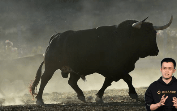 Binance bull run