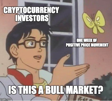 is this a bull market meme