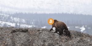 bitcoin dying