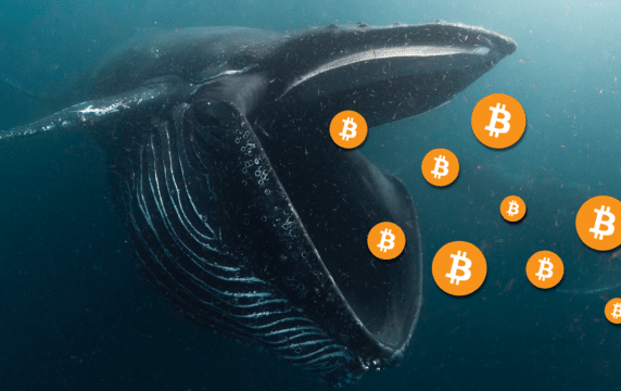 bitcoin whale