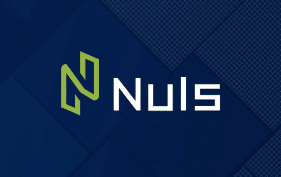 what is nuls