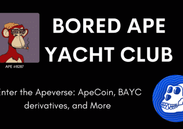 Bored Ape Yacht Club Guide