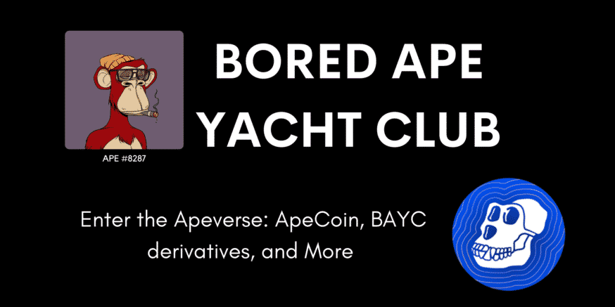 Bored Ape Yacht Club Guide