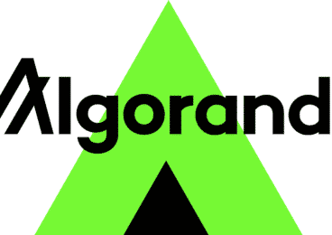 Algorand guide