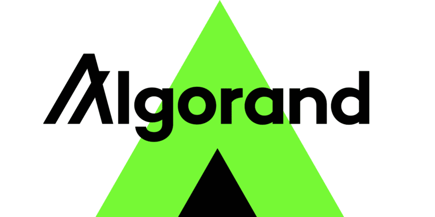 Algorand guide