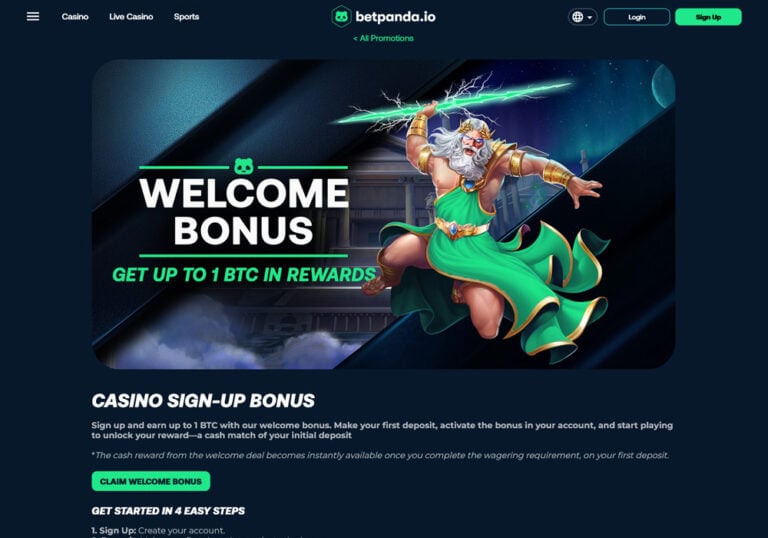 Betpanda Review 2025: Crypto Casino & Sportsbook With No KYC, Is it Legit?