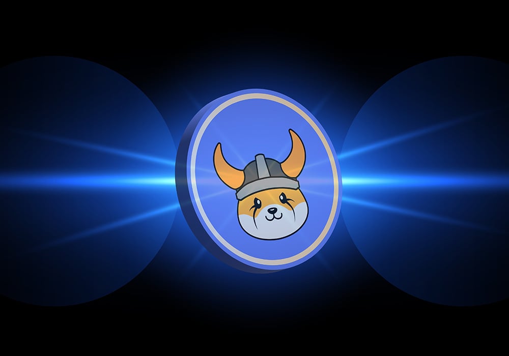 Crypto Gambling With Floki