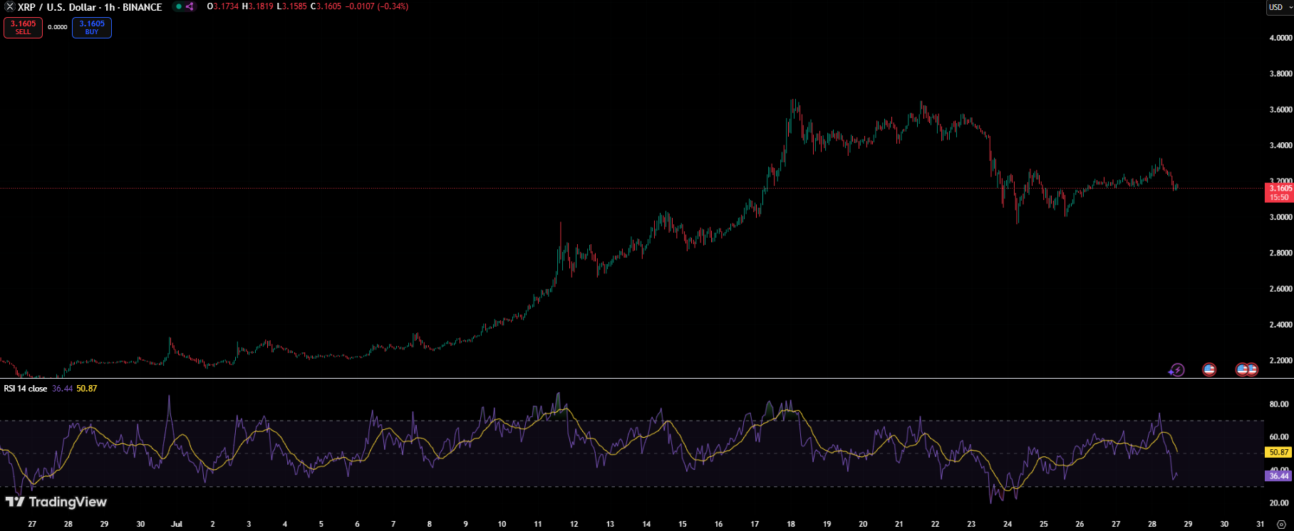 XRP Prediction