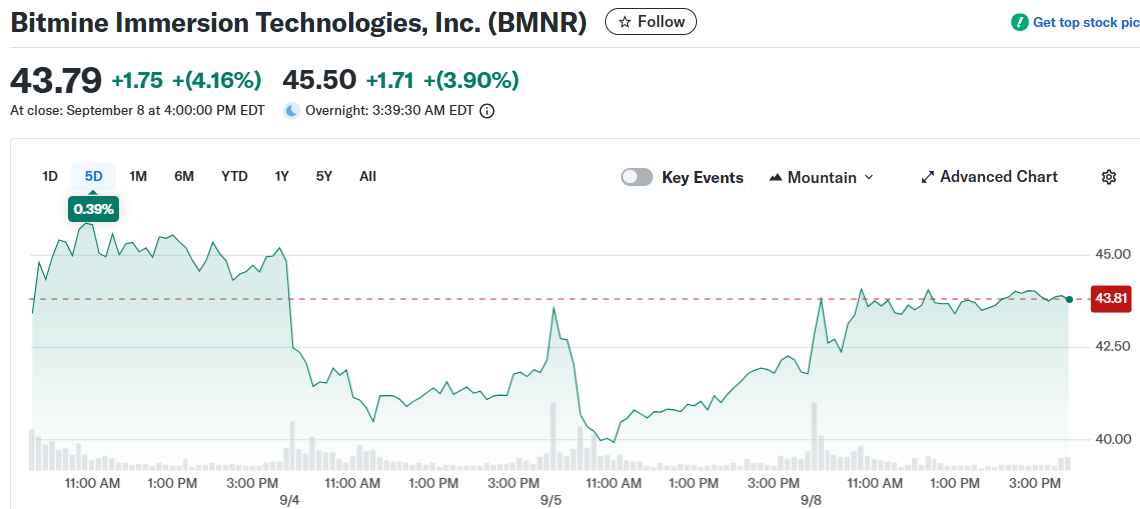 Bitmine Immersion Technologies, Inc. (BMNR)