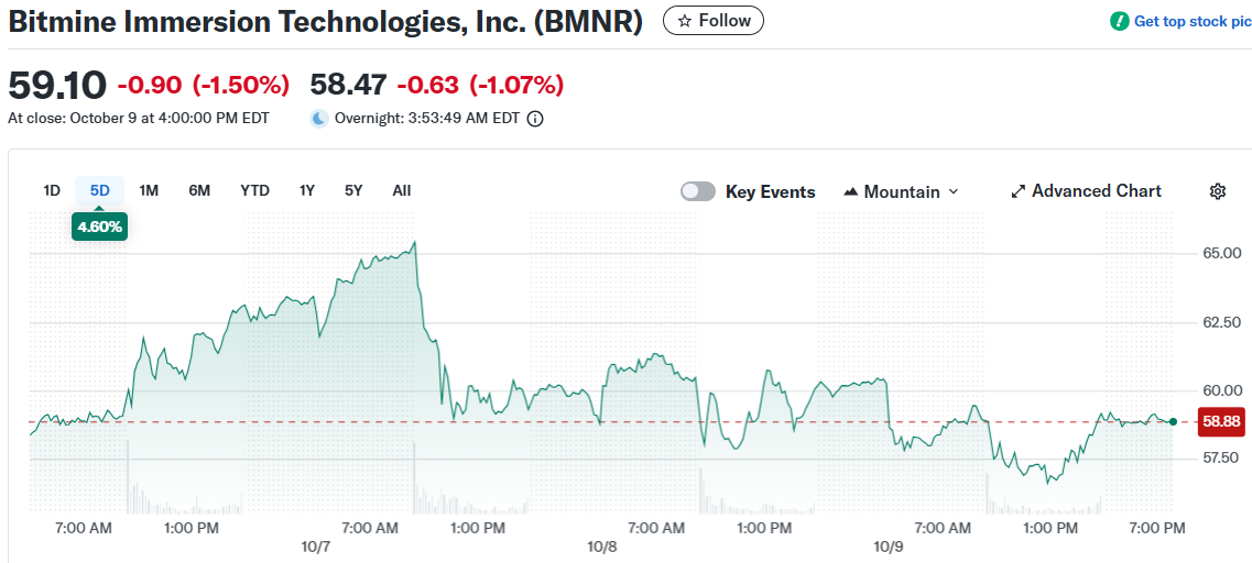 Bitmine Immersion Technologies, Inc. (BMNR)