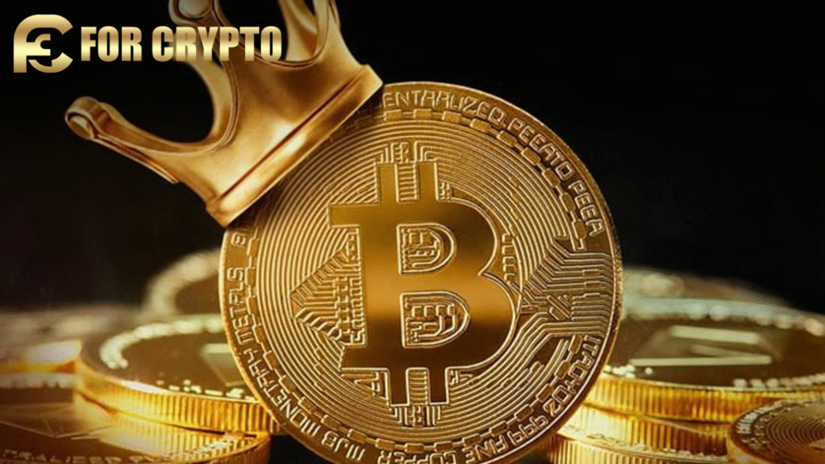 btcminee