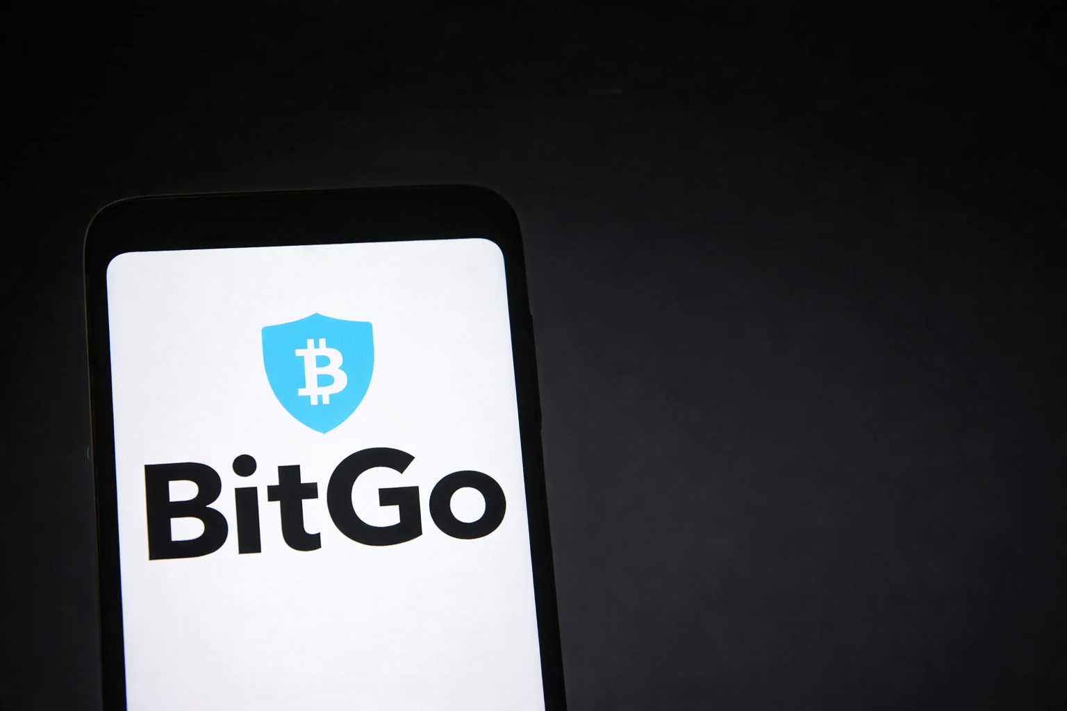 Bitigo BitGo (BTGO) Stock Gets Wave of Buy Ratings From Wall Street - CoinCentral