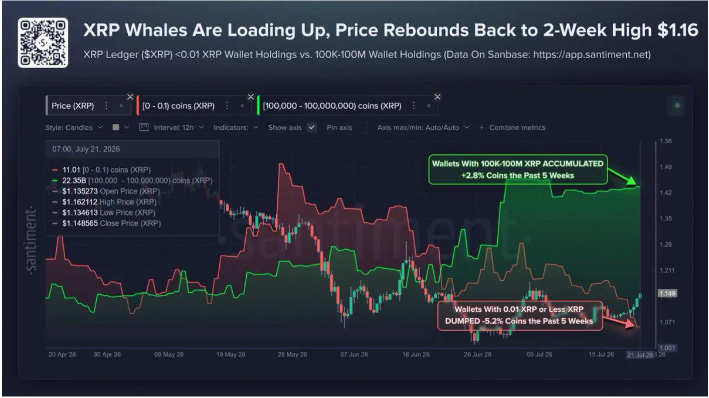 XRP whales