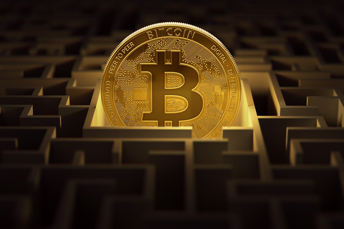 Bitcoin Treasury Companies Statistics